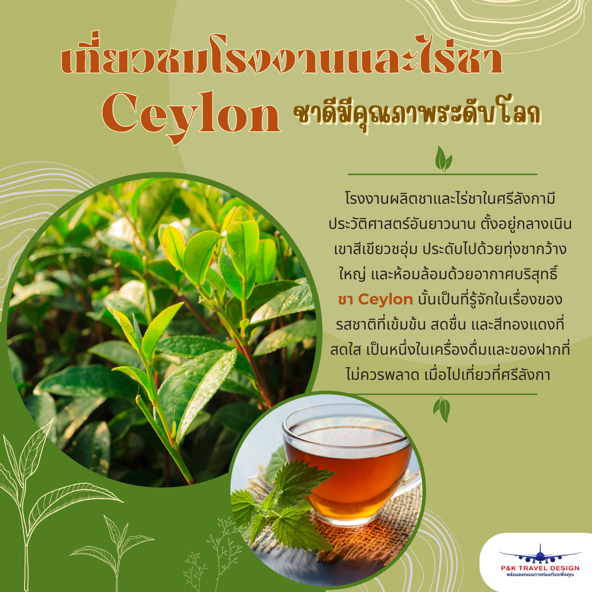 เที่ยวชมโรงงานและไร่ชา Ceylon ชาดีมีคุณภาพระดับโลก