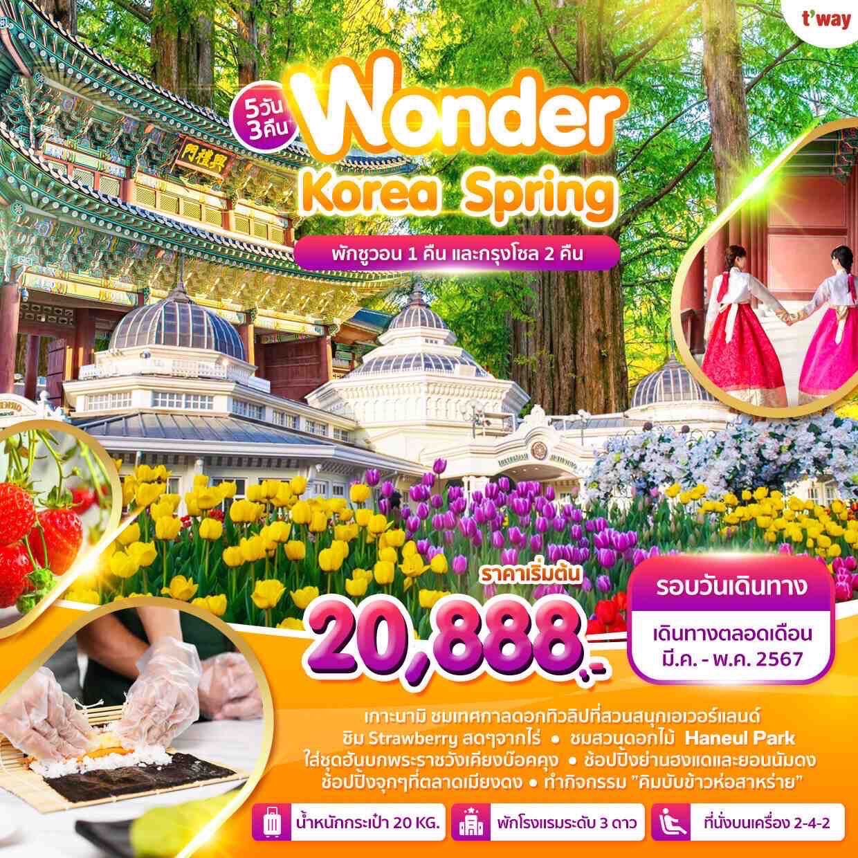 ทัวร์เกาหลี Wonder Korea Spring 5วัน 3คืน (TW)